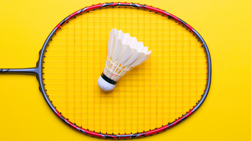 Racket Frame Compatibility