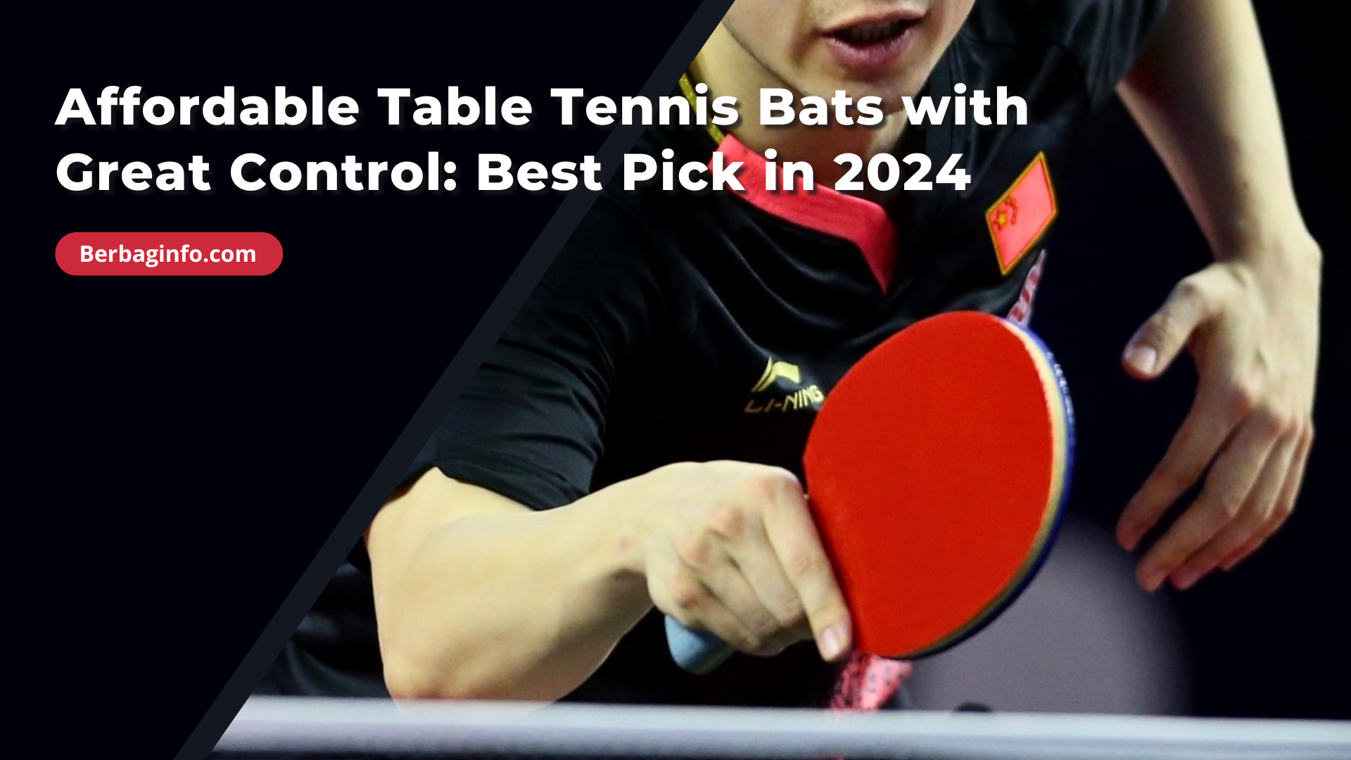 Affordable Table Tennis Bats with Great Control Best Pick in 2024