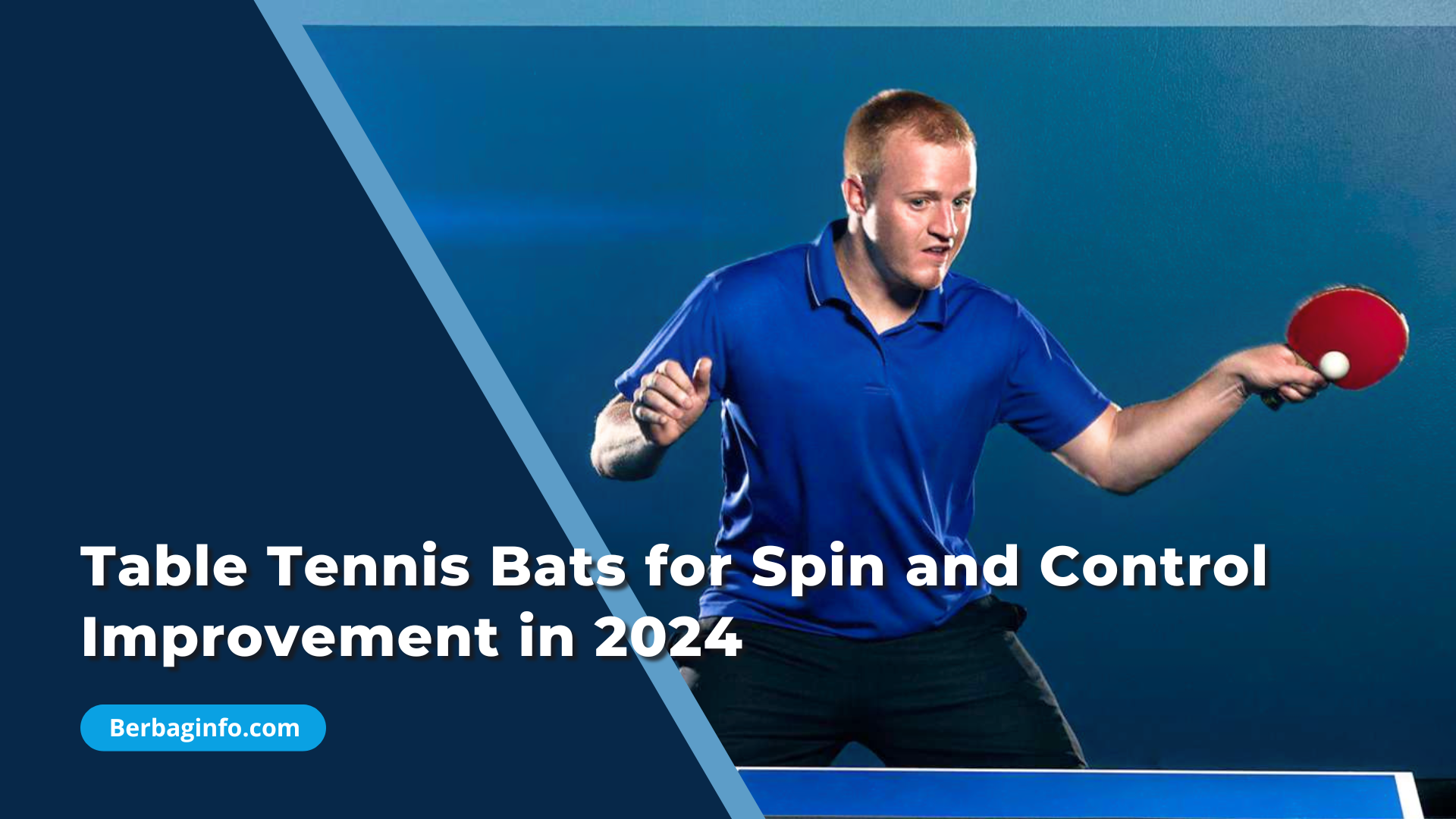 Table Tennis Bats for Spin and Control Improvement in 2024