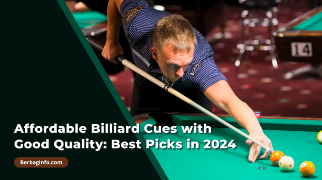 Top-Rated Billiard Cues for Professional Players Best Pick in 2024