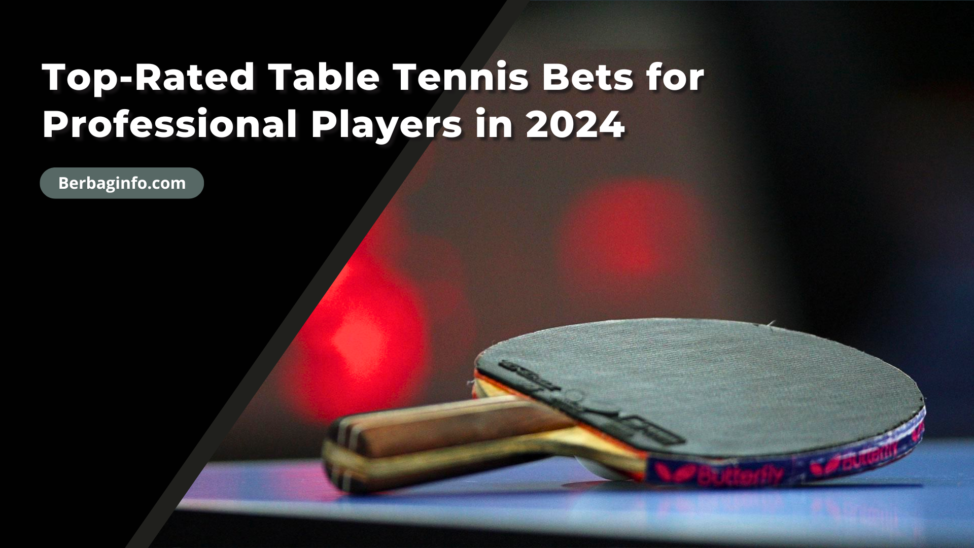 Top-Rated Table Tennis Bets for Professional Players in 2024